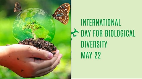 World Biodiversity Day