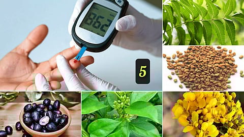 5 herbs for diabetics