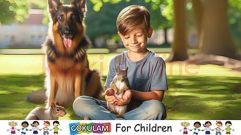 Baby squirrel and the boy