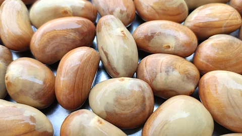 Jackfruit seeds cooking recipe