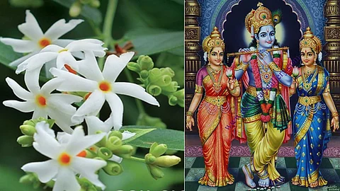 Pavalamalli, sri Krishnar, Bhama, Rukmini