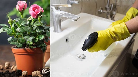 Home Tips