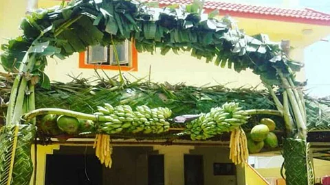 Banana tree gate during the wedding