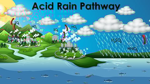acid rain pathway illustration