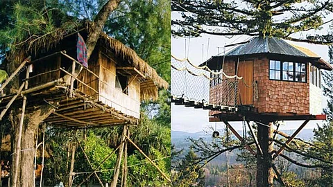 Tree houses