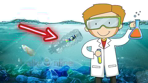 plastic Pollution
