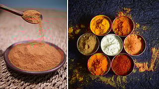Chutney powders