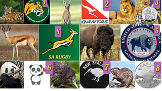 8 countries national animal symbols