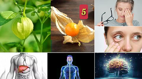 5 Native gooseberry benefits