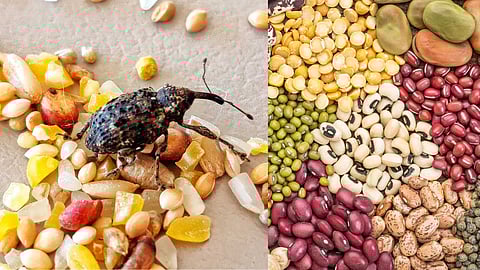 Samayal awarness  tips