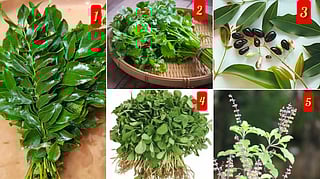5 leaves reduce bad cholesterol