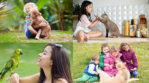 humans and animals live together
