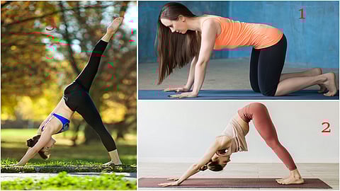 Eka pada adho mukha svanasana