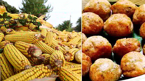 Tasty mixed veg corn dish!