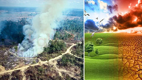 To prevent global warming