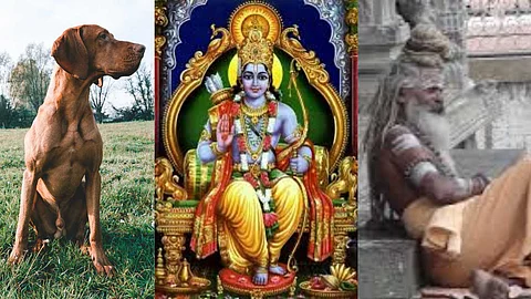 Lord Rama gave salvation to a dog