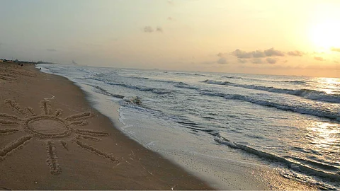 Uses of marine soil