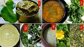 Five recipes for nutritious greens