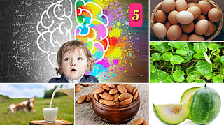 5 foods for your child's brain development