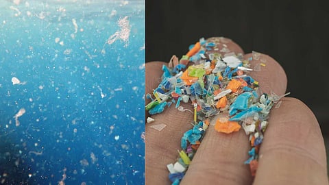 micro plastic