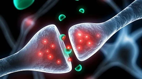 DMT