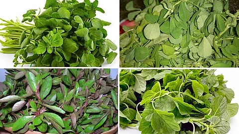 Healthy tips in greens