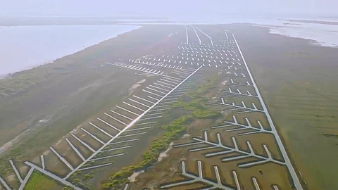 Fishbone canals of Muthupet in Thiruvarur