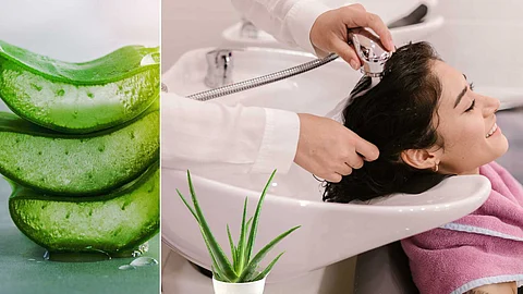 Aloe vera hair mask