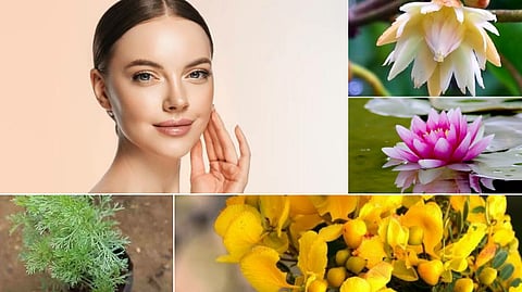 Flowers beauty tips