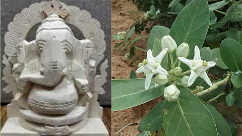 Vellerukku Vinayagar