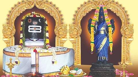Sri Dukkachi Apadsakayeswarar, Ambal