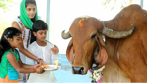 Benefits of cow worship