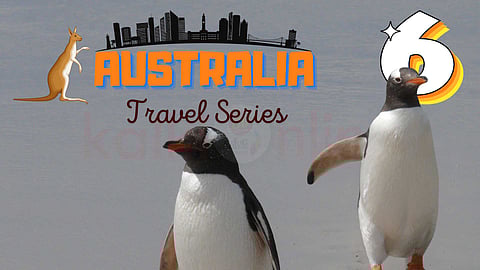 Penguin - Australian Travel Series