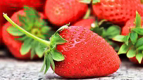 benefits of fruits and vegetables