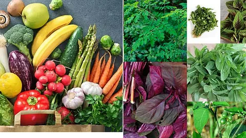Vegetables