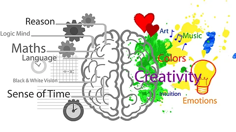 Left and right brain
