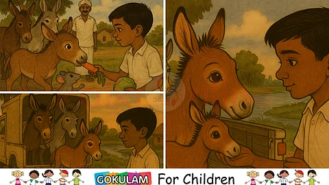 Illustration for children story