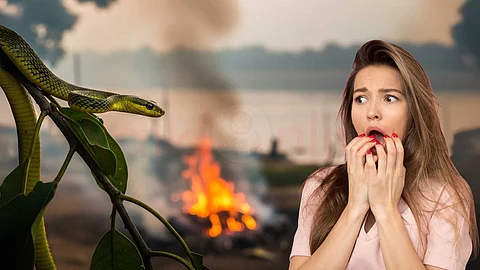 Komberi Mookan Snake