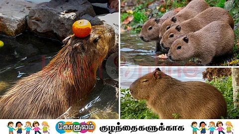 capybara