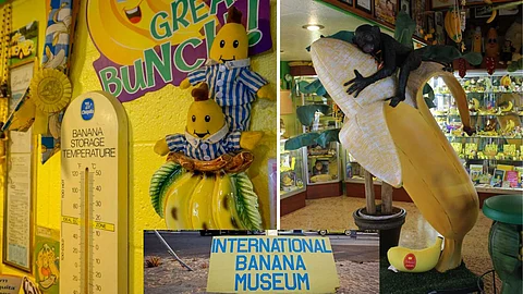 museum dedicated to bananas