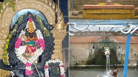Lord muruga