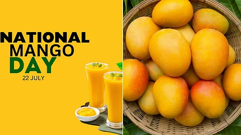 National mango day