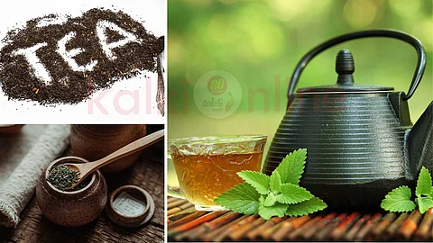 Lifestyle articles