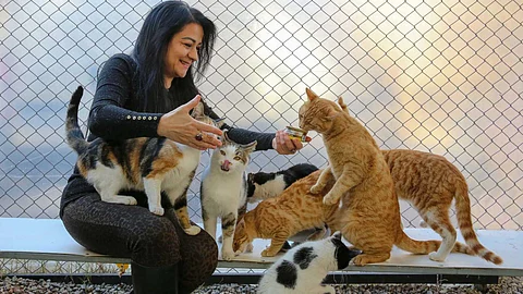 Keeping a pet that brings good luck