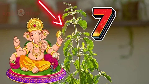 Hindu Devotional Plants