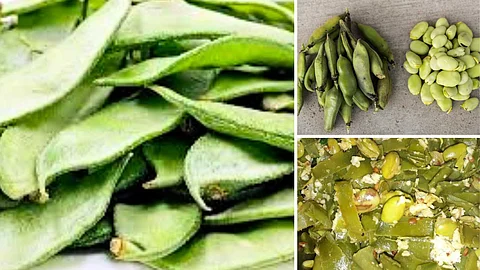 Samayal recipes in tamil