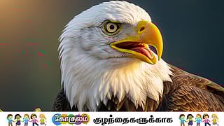 Eagle