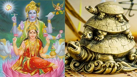 The secret of placing a turtle statue