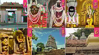 Snake temples in tamilnadu