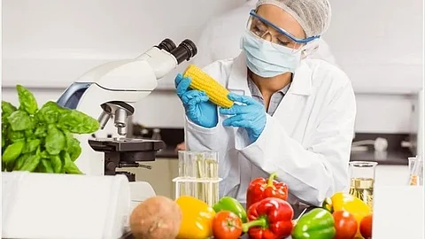researcher recommend foods